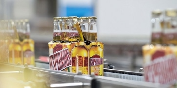 Bouteilles de bière Desperados alignées sur une chaîne de production dans une usine, prêtes pour l'emballage.